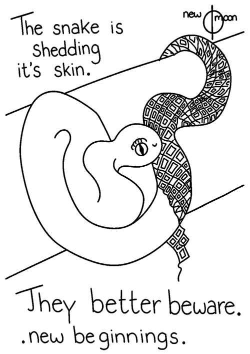 No. 11 – Transform